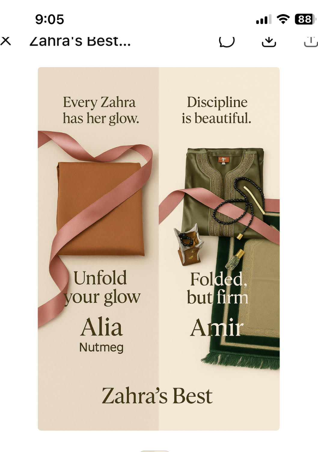 Zahras Best Amir Thobe