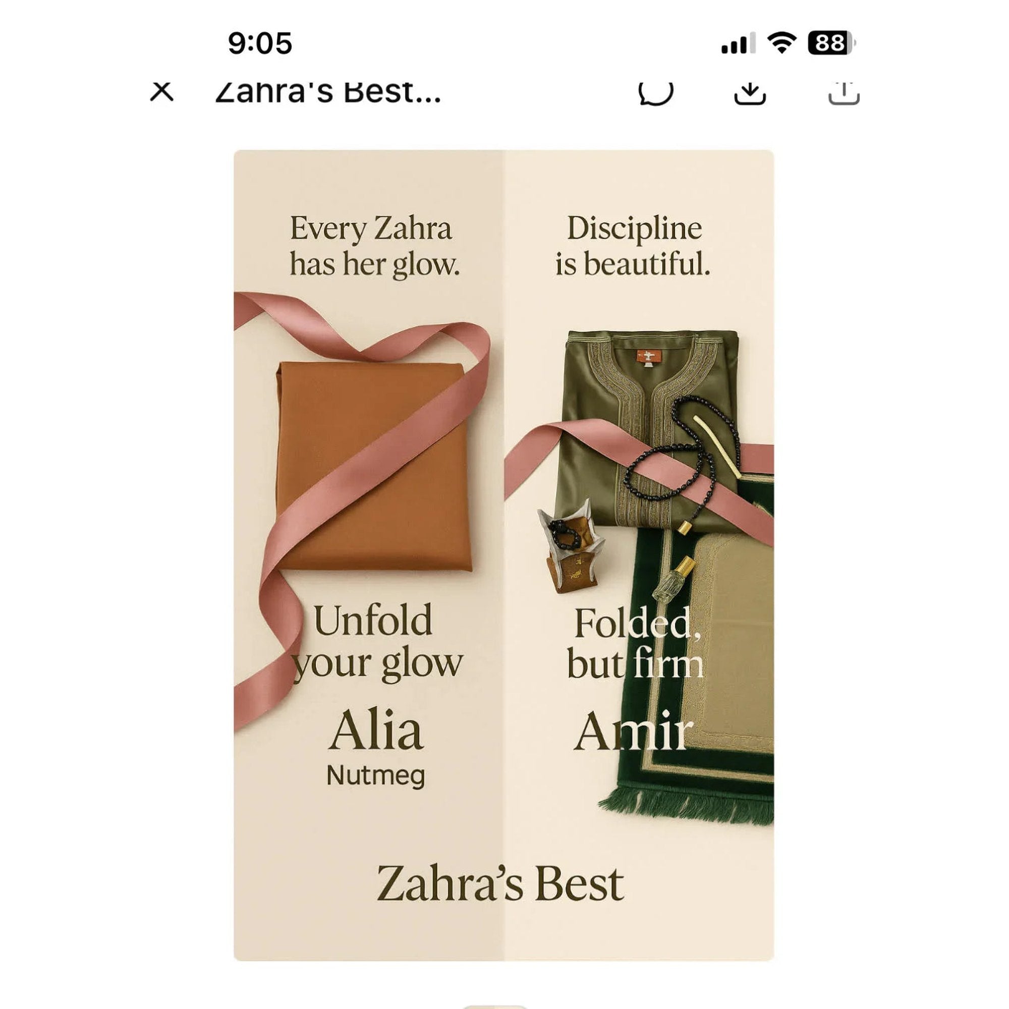Zahras Best Amir Thobe
